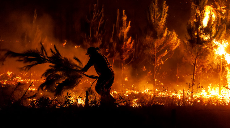 Legutóbb 2017-ben volt hasonlóan tragikus a helyzet, akkor a tűz 11 embert ölt meg, másfélezer házat pusztított el és 467 ezer hektárnyi földet perzselt föl / Fotó: Getty Images