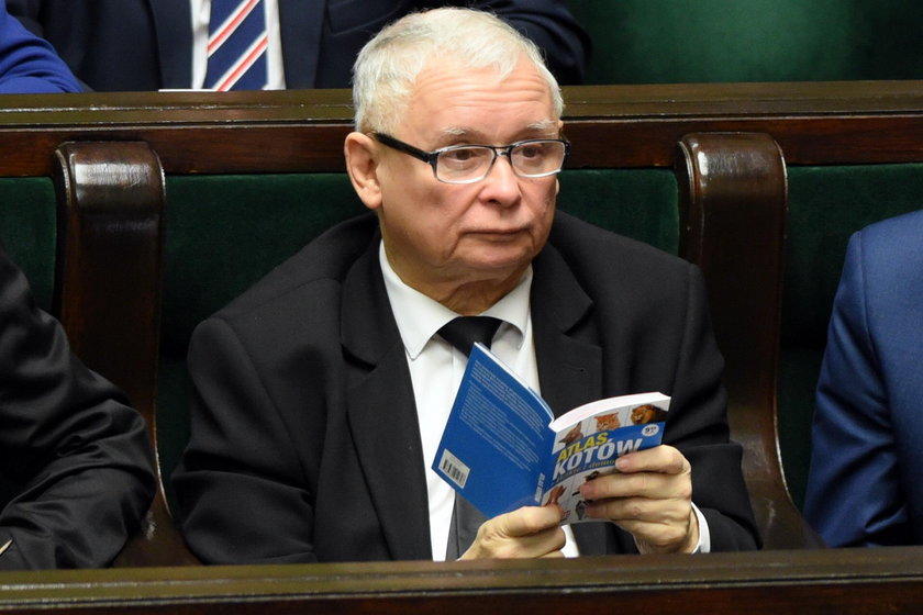 Jarosław Kaczyński czyta "Atlas kotów"