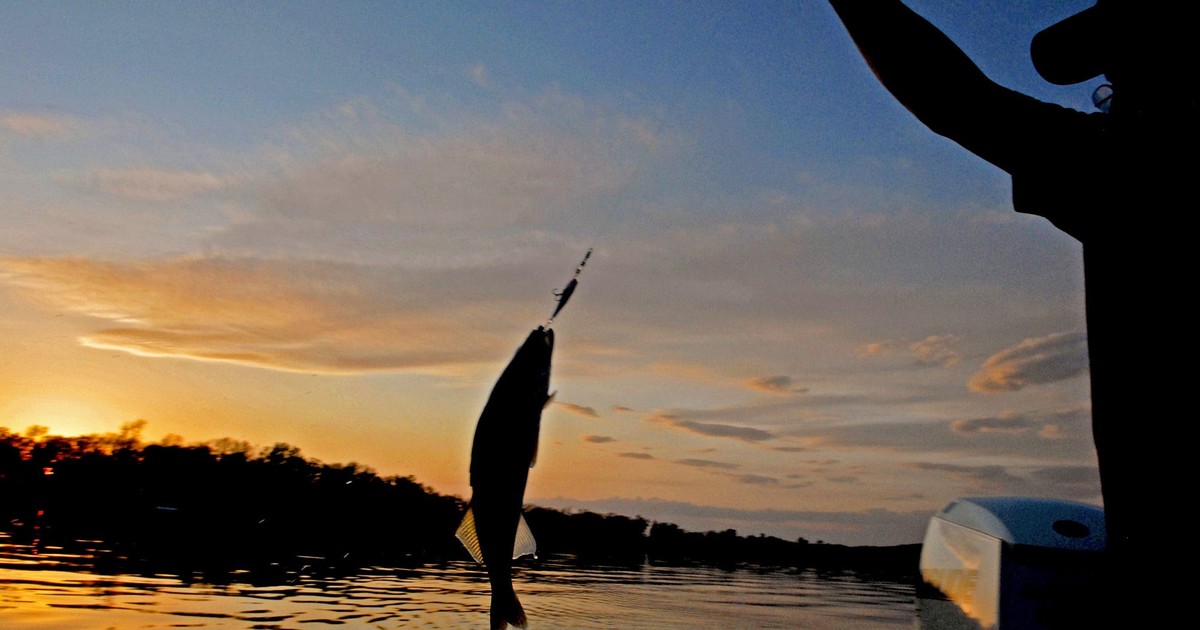 $17 billion hedge fund Walleye is beefing up its stock-picking unit ...