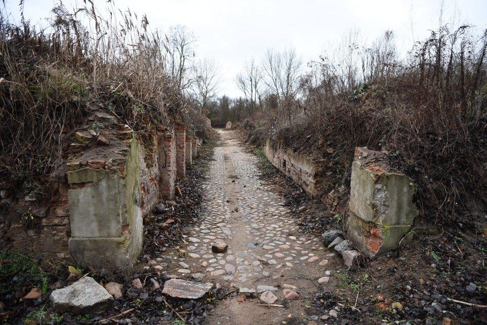 Kostrzyn Nad Odra Uczestnicy Pol And Rock Zjezdzaja Sie Na Miejsce Wiadomosci