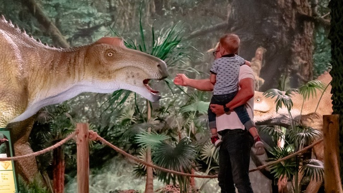 Wszystko, co chcielibyście wiedzieć o dinozaurach, czyli spotkanie z