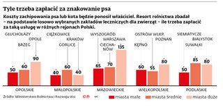 Tyle trzeba zapłacić za znakowanie psa