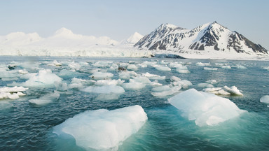 Dania zgłasza roszczenia do sporej części Oceanu Arktycznego
