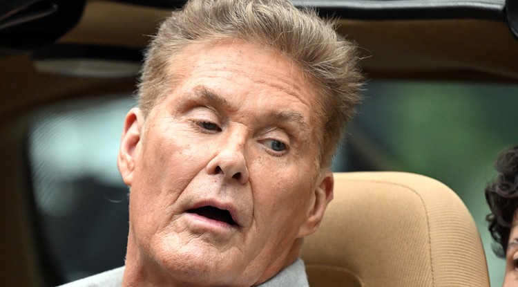 Gyermekei édesanyját gyászolja David Hasselhoff Fotó: Northfoto