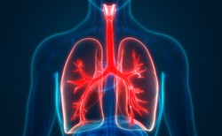 Skuteczniejsze niż antybiotyki. Mikroroboty oczyszczają płuca z bakterii