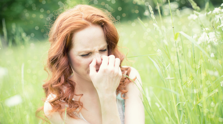 Íme pár fontos tipp allergiásoknak / Fotó: shutterstock 