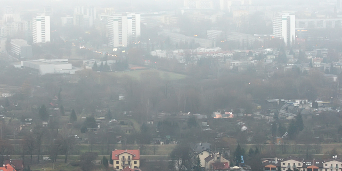 smog kraków