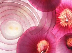 Chroni przed rakiem, dba o mózg. Zalety cebuli