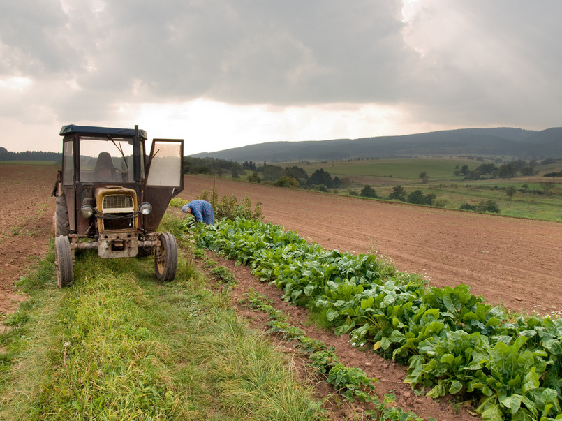 Wspólna polityka rolna (WPR), przygotowywana w ramach nowej perspektywie budżetowej UE, powinna w Polsce skłonić do całościowego zajęcia się uporządkowaniem przemian gospodarczych i społecznych w rolnictwie i na obszarach wiejskich, uważa Stanisław Kluza