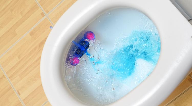 Te is így használod a WC illatosító rudat? Fotó: Getty Images