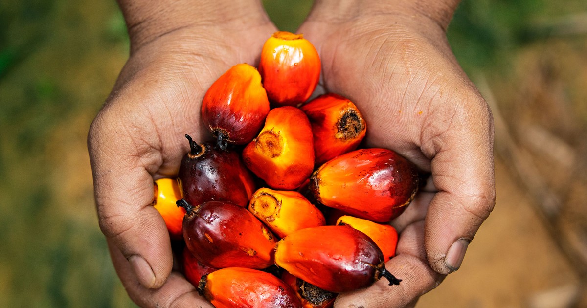 Is palm oil bad for you? Here’s the full story on this controversial