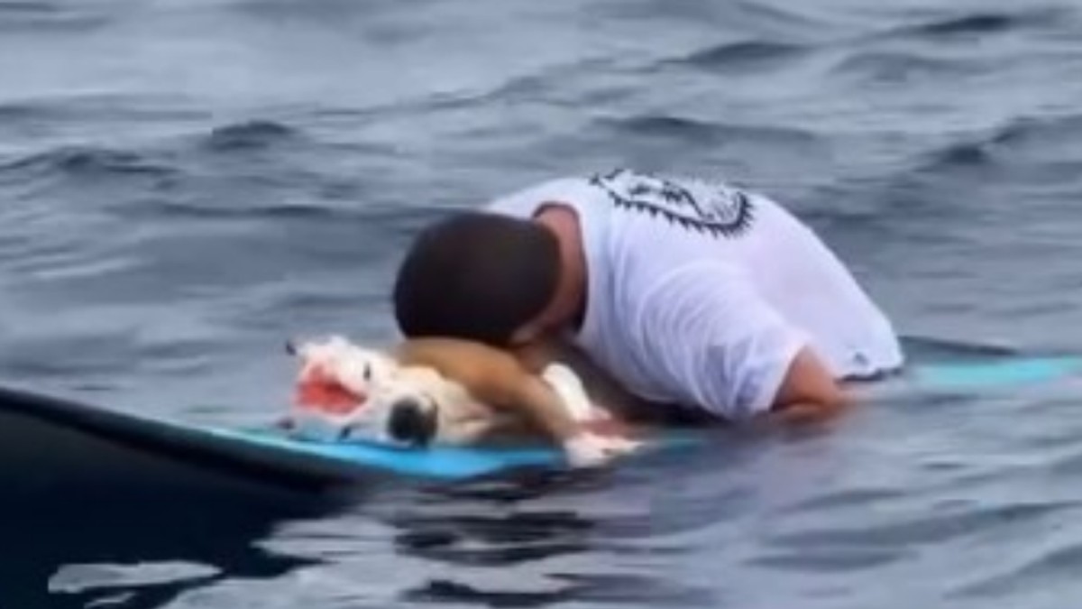Surfer se oprašta od svog psa
