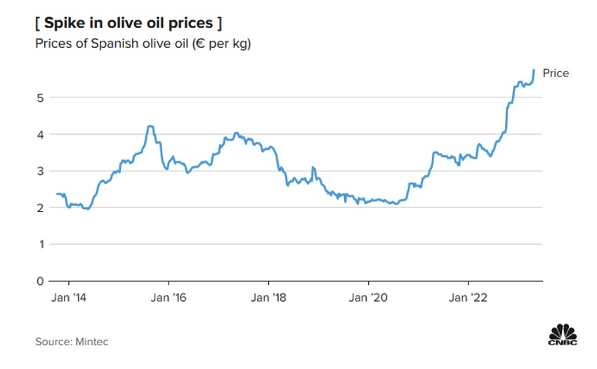Cena maslinovog ulja na rekordnom nivou