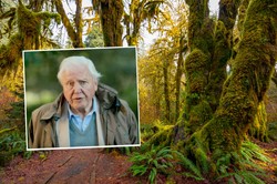 David Attenborough zdradza sekret świetnej formy. Wykluczył z diety te produkty