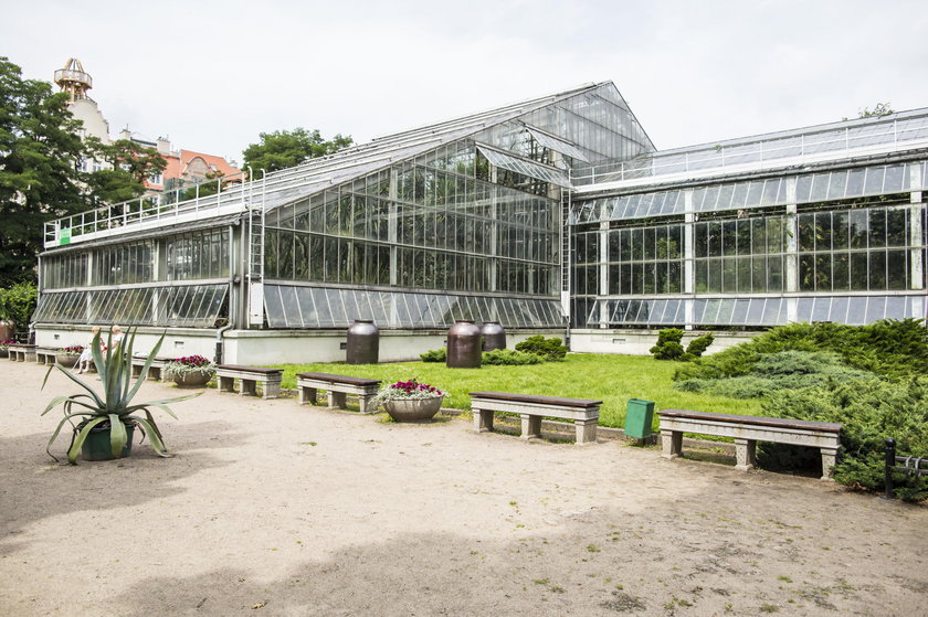 Poznański ogród zoologiczny i Palmiarnia przejdą w tym roku prawdziwą metamorfozę