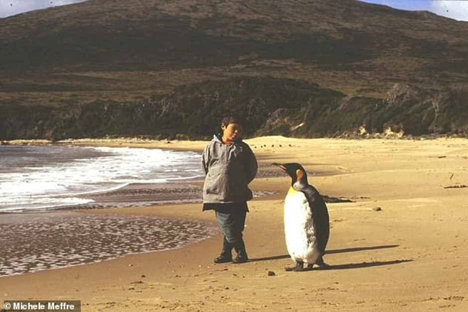 Daleko od rodnog Čilea, Oskar, koga su usvojili Mišel i Žorž, sprijateljio se s pingvinom