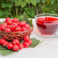 Életmentő galagonya? Ismerje meg jobban ezt a gyógynövényt!