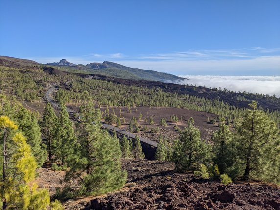 Teneryfa. Park Narodowy Teide. 