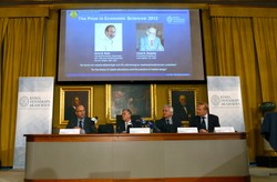 Ekonomiczny Nobel dla Rotha i Shapleya za metody dopasowywania