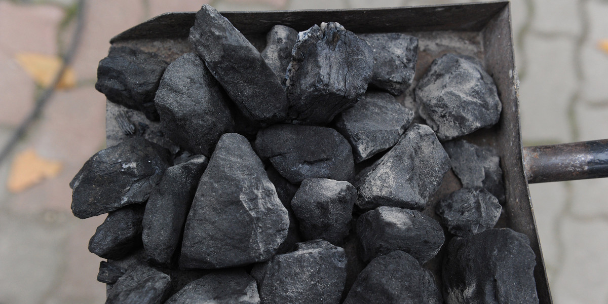 Dziennikarze odwiedzili skład opału w Otwocku i poprosili o świadectwa jakości wystawiane dla oferowanego węgla