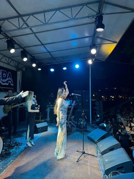 Ceca Ražnatović