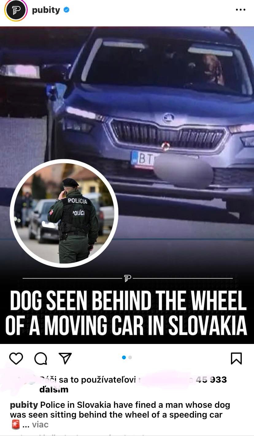 O psovi za volantom píšu aj zahraničné médiá.