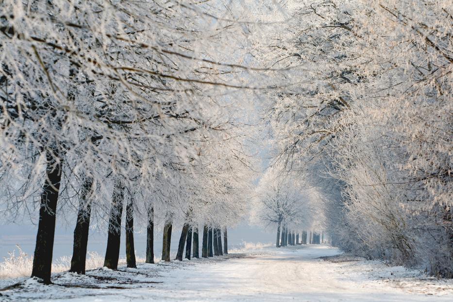 Már nincs is olyan messze a tél - fotó: Shutterstock