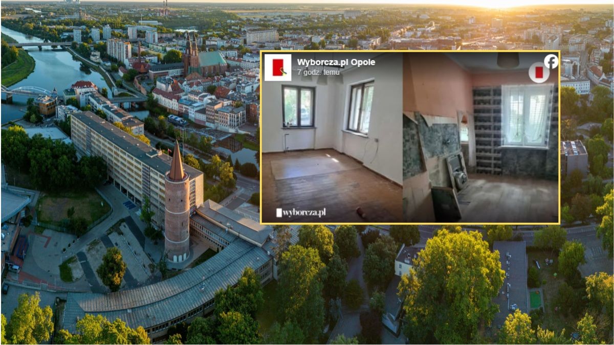 Chciał kupić mieszkanie od miasta. Znalazł je na OLX. "Nie mogłem uwierzyć"