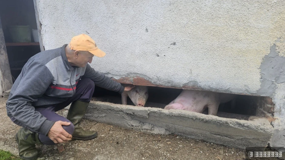 Nije važno kako izgleda. Kod mene ima svoje mesto - kaže Boško