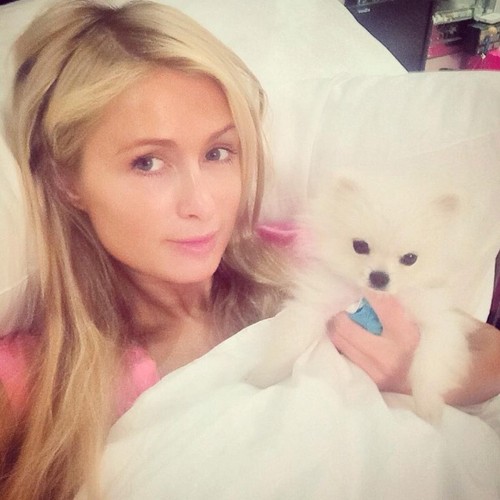 Paris Hilton też przyłączyła się do akcji Wake Up Call
