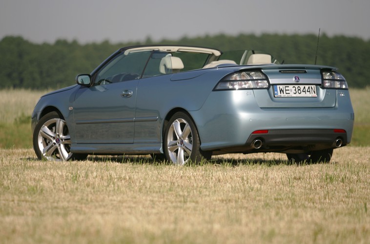 Szwedzki przystojniak...