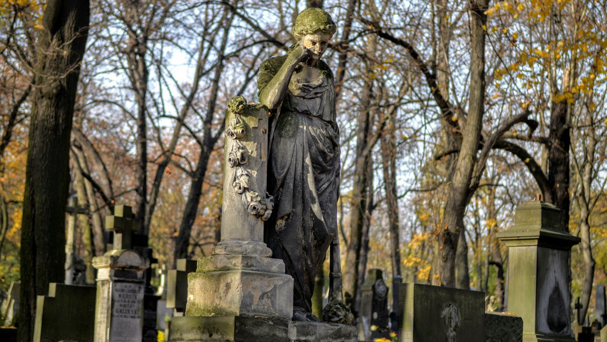 Ratują zabytkowe nagrobki. Prawie pół wieku kwesty na Starych Powązkach