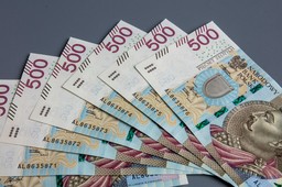 Siła zaufania. Od wiarygodności ekonomicznej państwa zależą koszty obniżania inflacji i wstrząsów