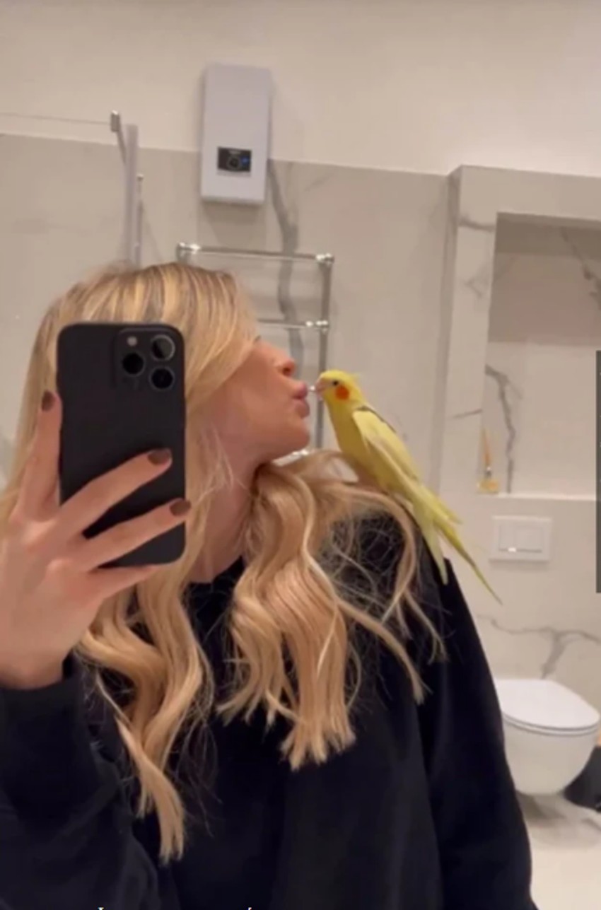 Stan Đoleta i Saške