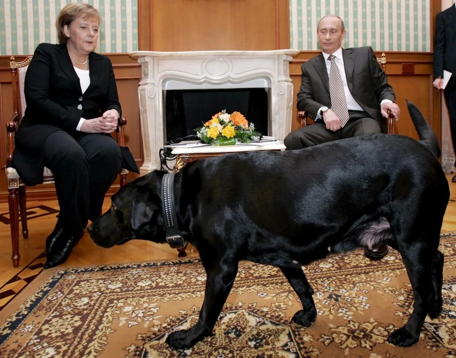 Angela Merkel, Vladimir Putin i njegov labrador Koni u Sočiju 21. januara 2007.