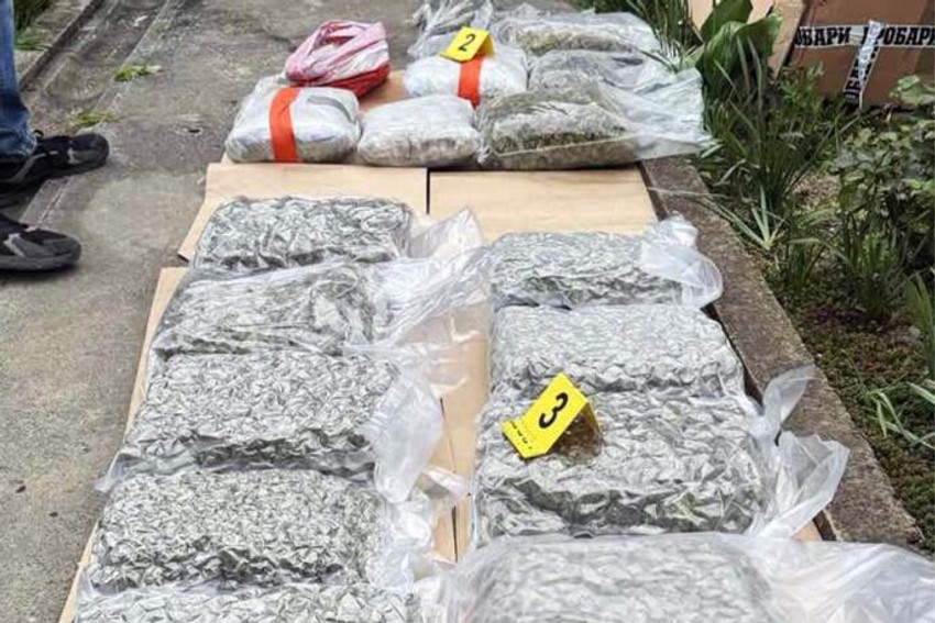 Zaplenjena marihuana u Kikindi