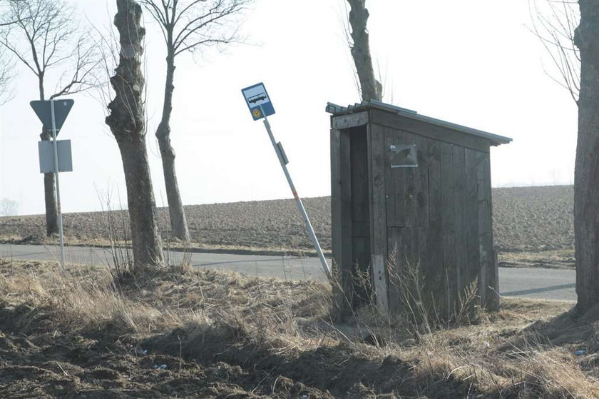 Zgadnij co to: przystanek czy wychodek?