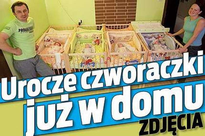 Urocze czworaczki już w domu!