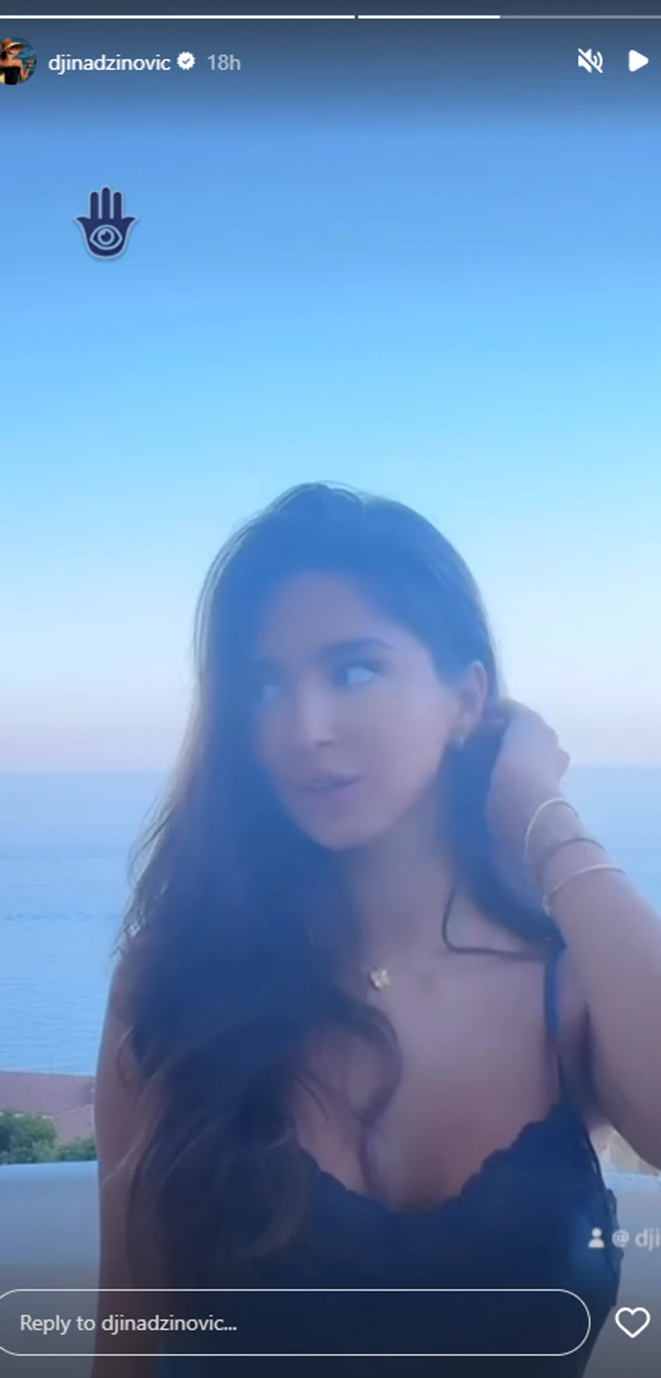 Đina Džinović, objava