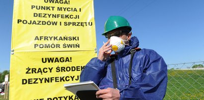 Apel do premier Szydło. „Sytuacja jest tragiczna. Rolnicy nie wiedzą, co mają robić"