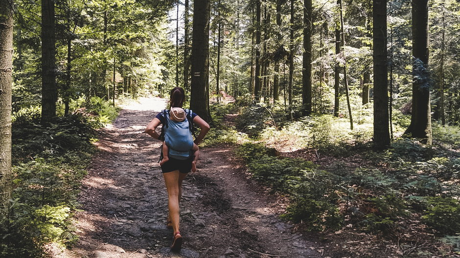 Do pokonania mamy 3,8 km i 200 m przewyższenia