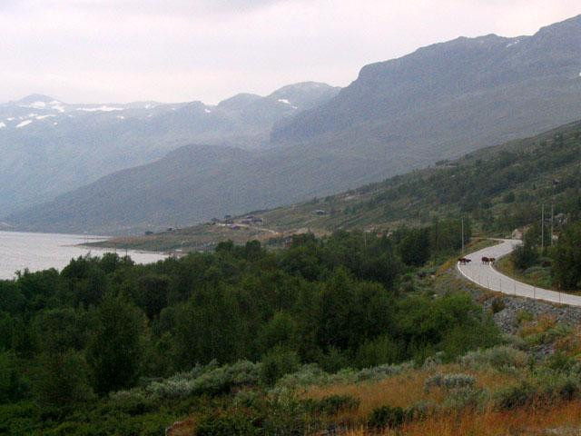 Galeria Norwegia, obrazek 5
