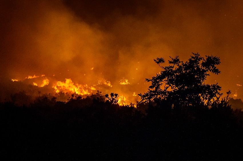Požari u Crnoj Gori