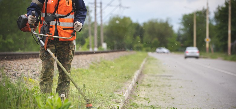 Odszkodowanie z ZUS za ukąszenie przez kleszcza? W tych sytuacjach to możliwe