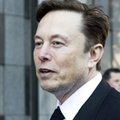 "Bolesne", "jedna z najtrudniejszych rzeczy". Elon Musk komentuje zwolnienie 80 proc. pracowników Twittera