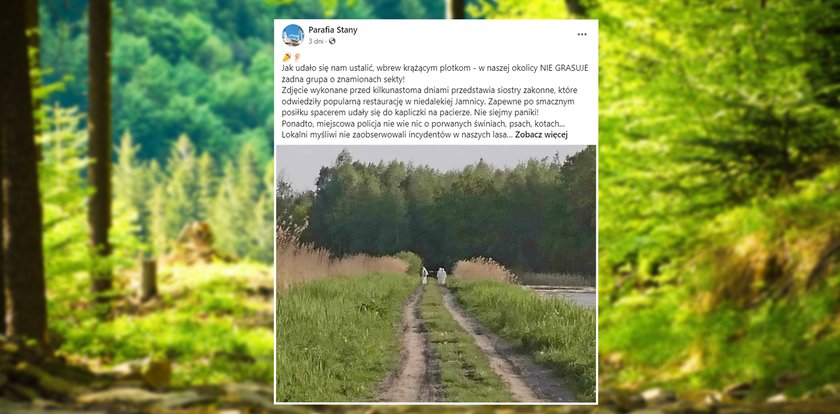 Psychoza strachu w podkarpackich wsiach. "Wchodzą na posesję, łapią za klamki, mordują zwierzęta"