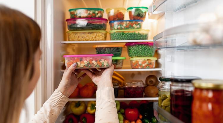 Ezért tartok sóval átitatott szivacsot a hűtőben: amikor megérted, te is így fogsz tenni  fotó: Getty Images