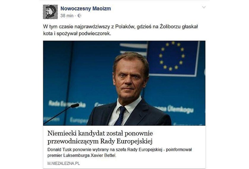 Internauci komentują kompromitację PiS! MEMY