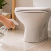 Nanošenja sirćeta oko WC šolje