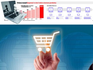 E-lumpeksy robią furorę w sieci. Można tu kupić telefon albo kombajn
